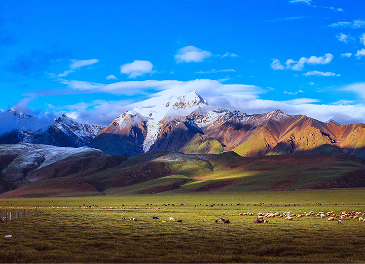 һ��һ��Ҫȥһ�εĵط�����������